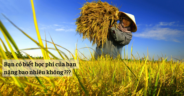 Bạn có biết học phí của bạn nặng bao nhiêu không?